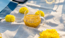 爆菊花视频,揭秘网络爆菊花视频背后的趣味与思考